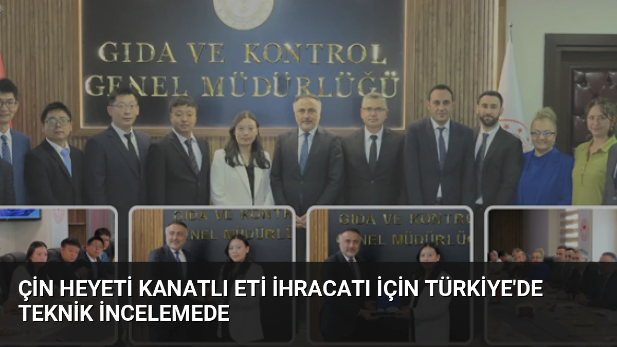 Çin Heyeti Kanatlı Eti İhracatı İçin Türkiye’de Teknik İncelemede