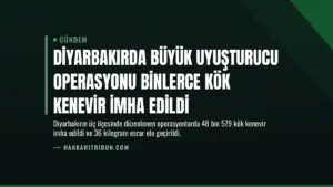Diyarbakırda Büyük Uyuşturucu Operasyonu Binlerce Kök Kenevir İmha Edildi