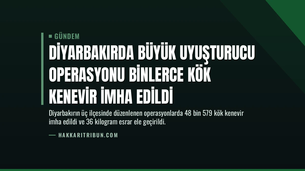 Diyarbakırda Büyük Uyuşturucu Operasyonu Binlerce Kök Kenevir İmha Edildi