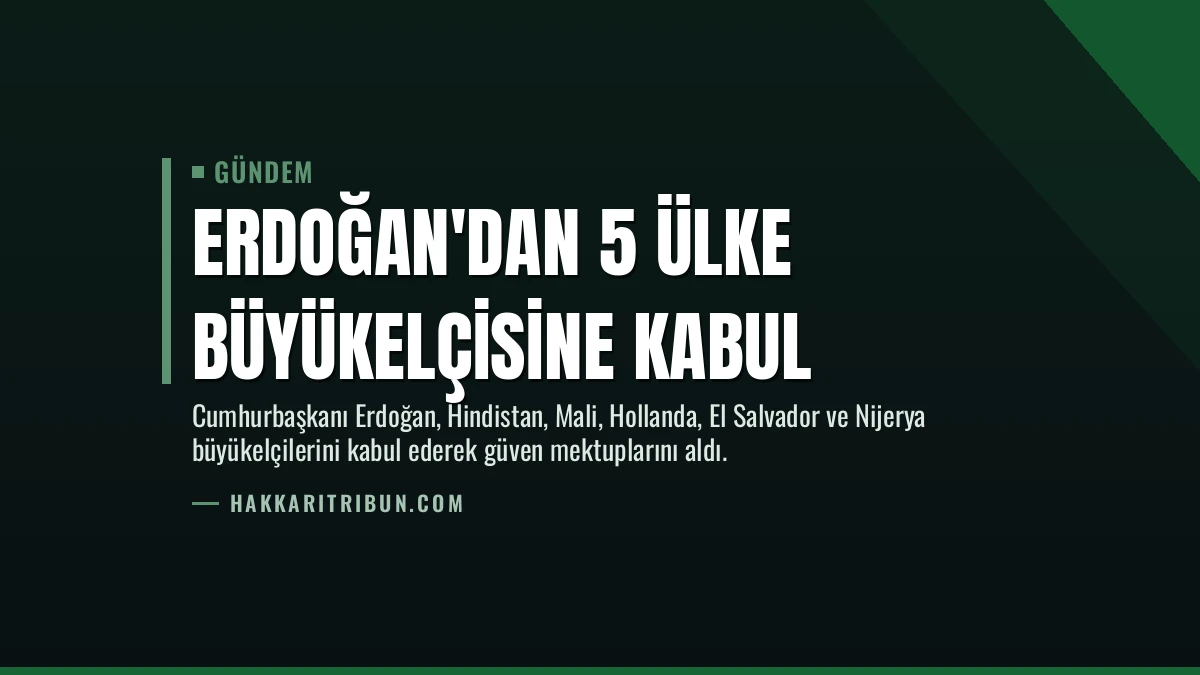 Erdoğan’dan 5 Ülke Büyükelçisine Kabul