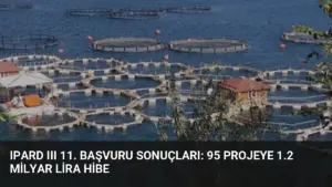 IPARD III 11. Başvuru Sonuçları: 95 Projeye 1.2 Milyar Lira Hibe