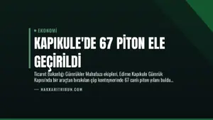 Kapıkule’de 67 Piton Ele Geçirildi