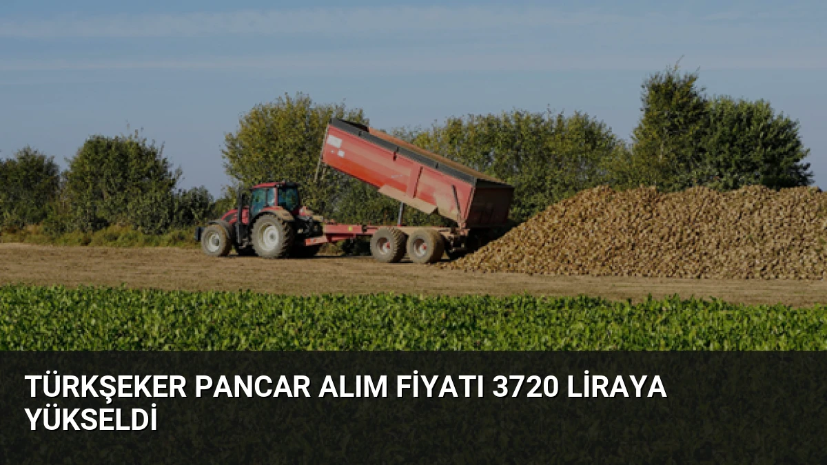Türkşeker Pancar Alım Fiyatı 3720 Liraya Yükseldi