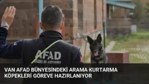 Van AFAD bünyesindeki arama kurtarma köpekleri göreve hazırlanıyor