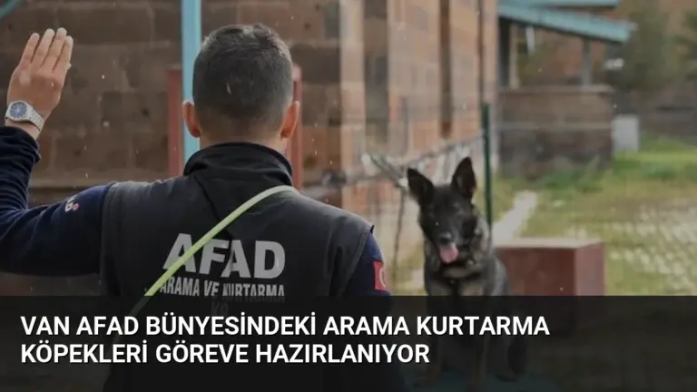 Van AFAD bünyesindeki arama kurtarma köpekleri göreve hazırlanıyor